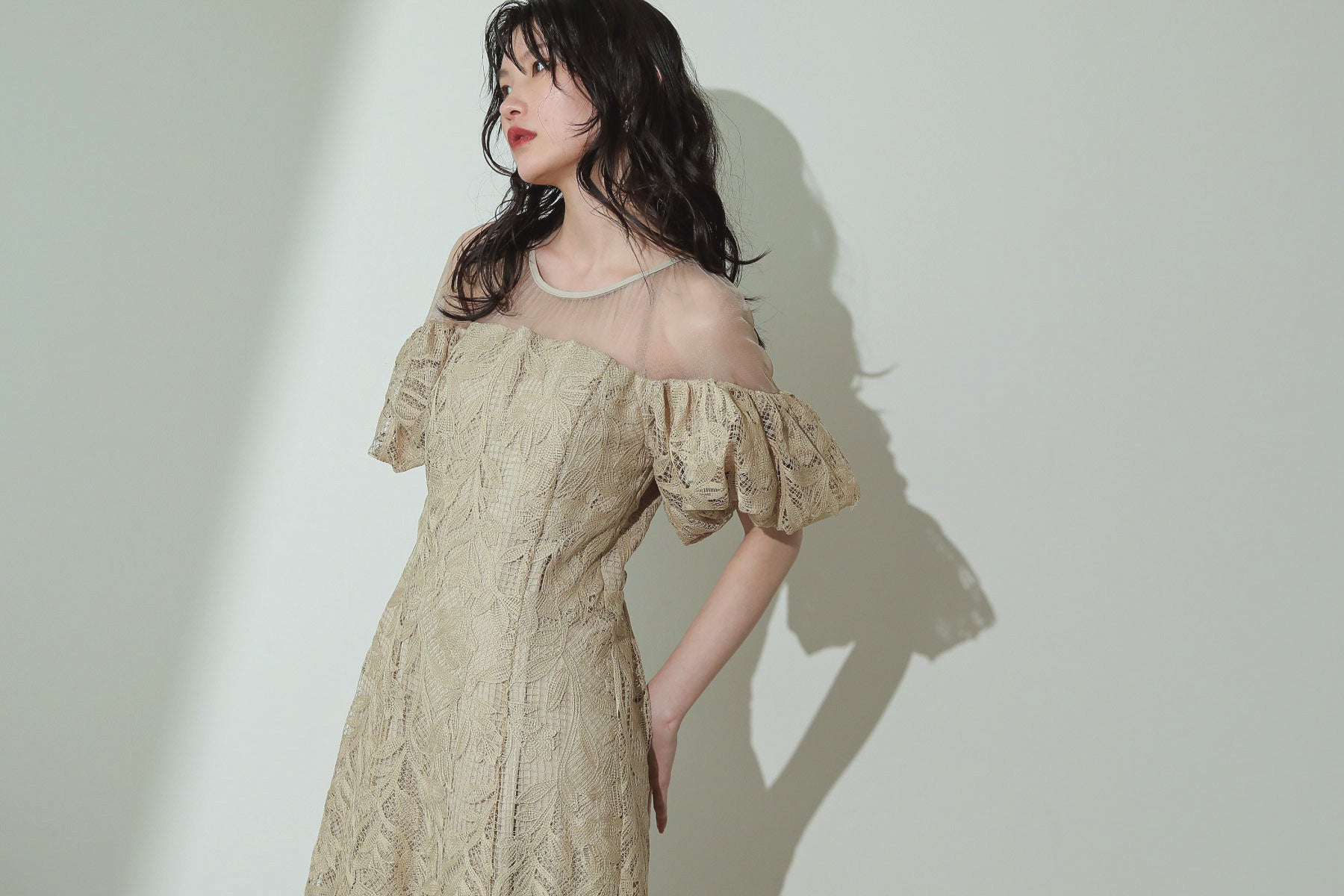 新作ドレスコレクション