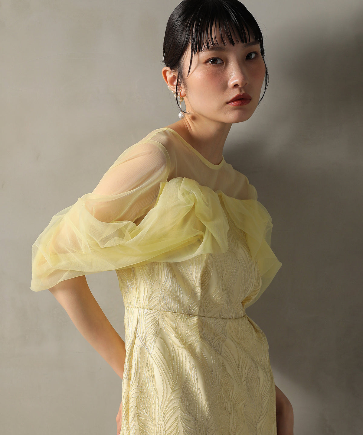 リーフ刺繍チュールフリルシアーデコルテペンシルラインドレス