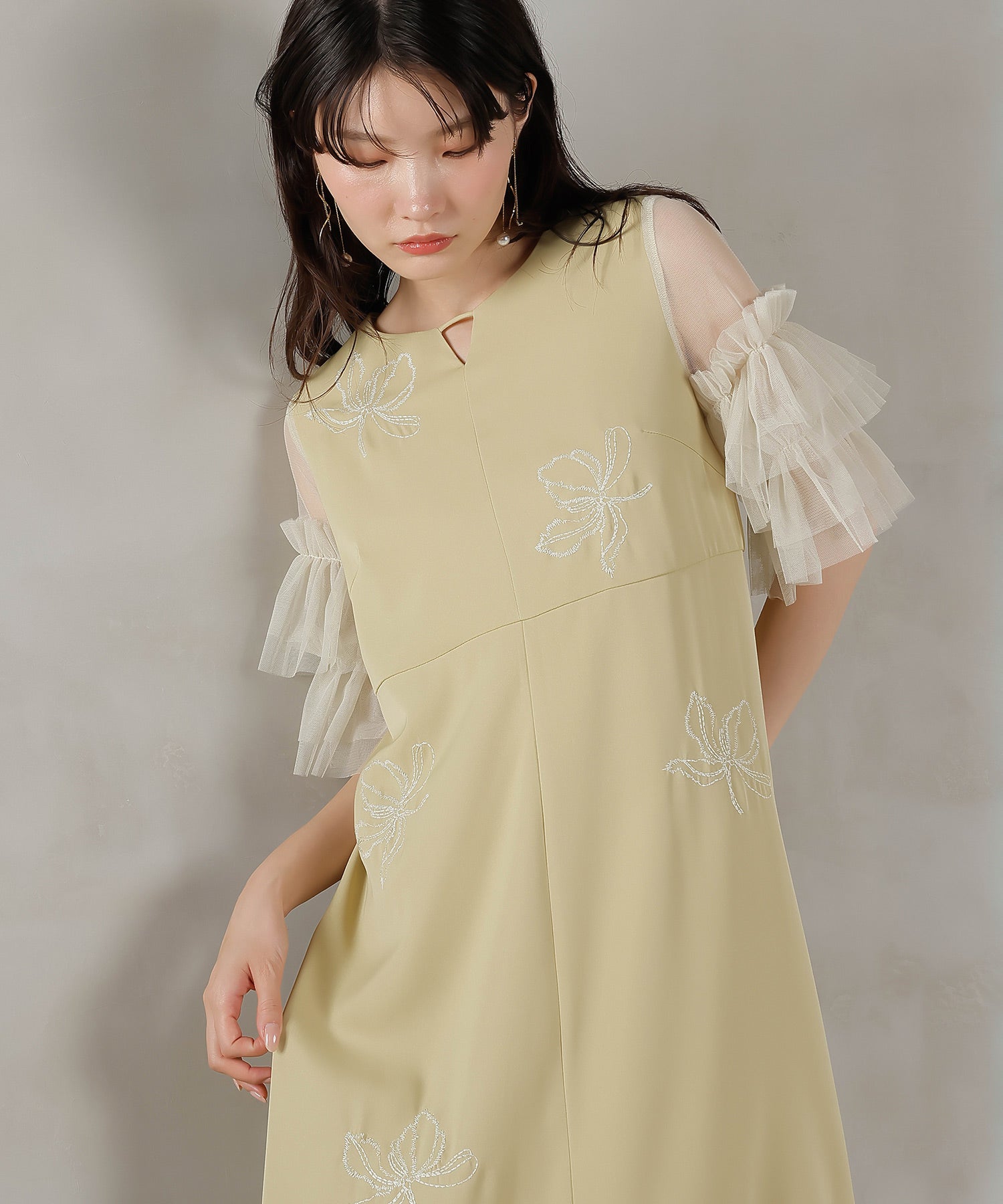 刺繍レース チュールフリル Aライン ドレス