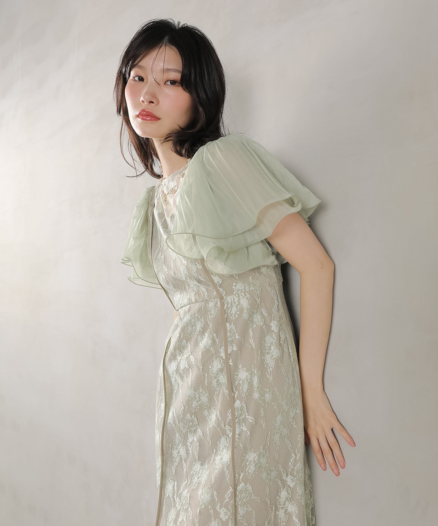 エアリースリーブ 刺繍 レース Aライン ワンピース ドレス