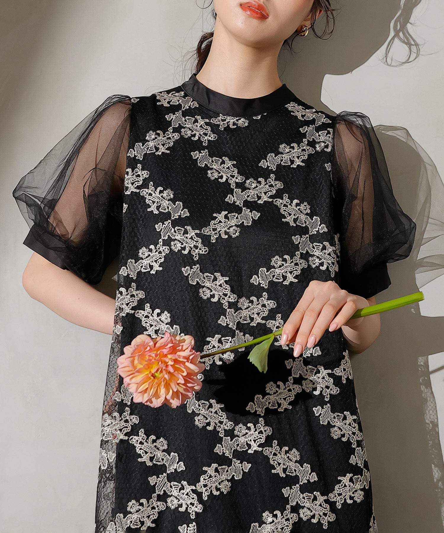 刺繍レース チュール Aライン ティアード ワンピース ドレス