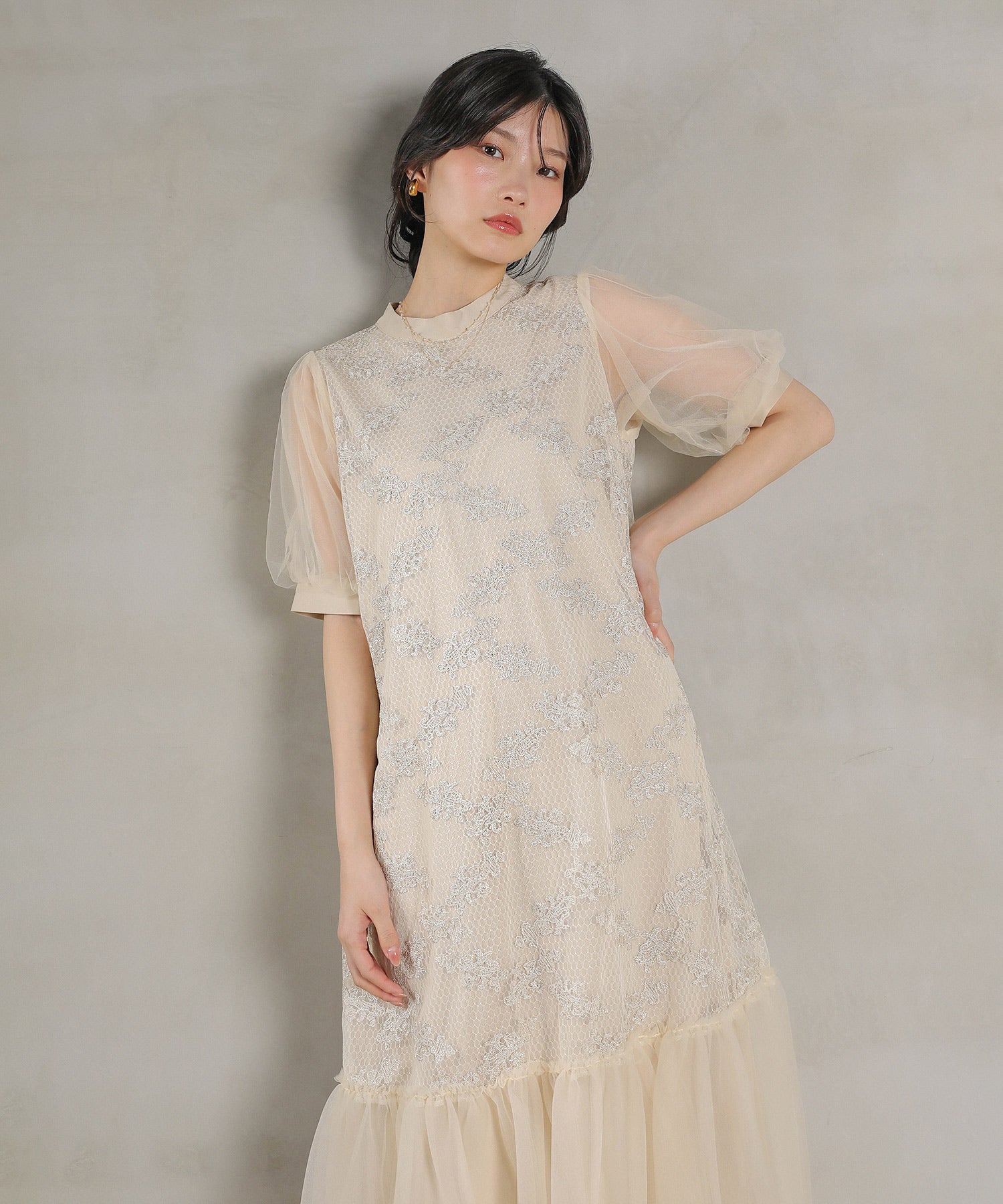 刺繍レース チュール Aライン ティアード ワンピース ドレス