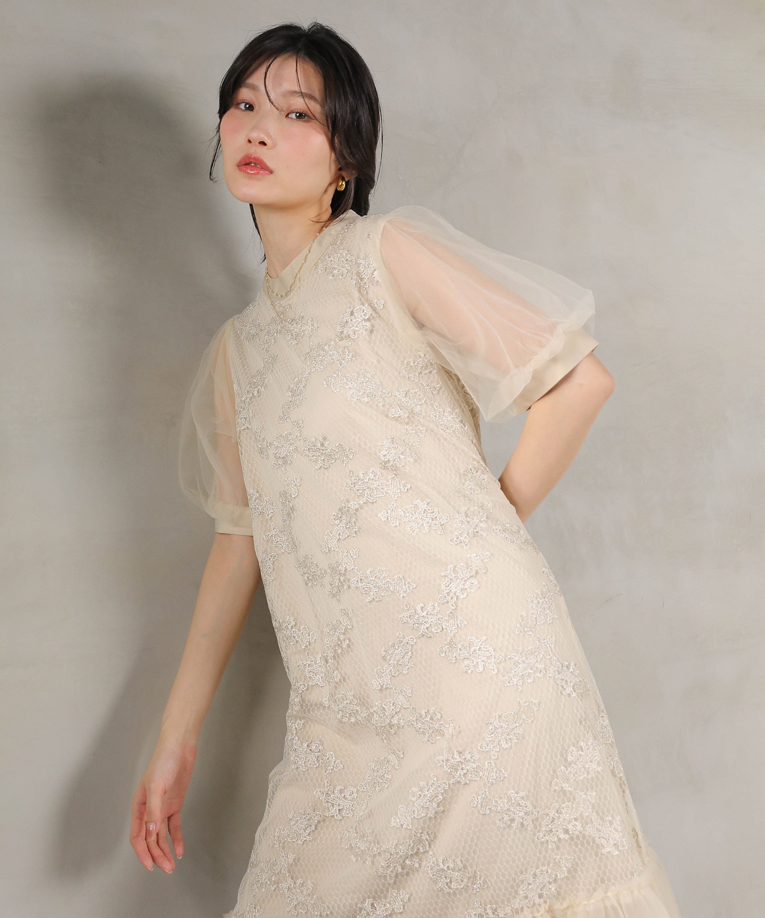 刺繍レース チュール Aライン ティアード ワンピース ドレス