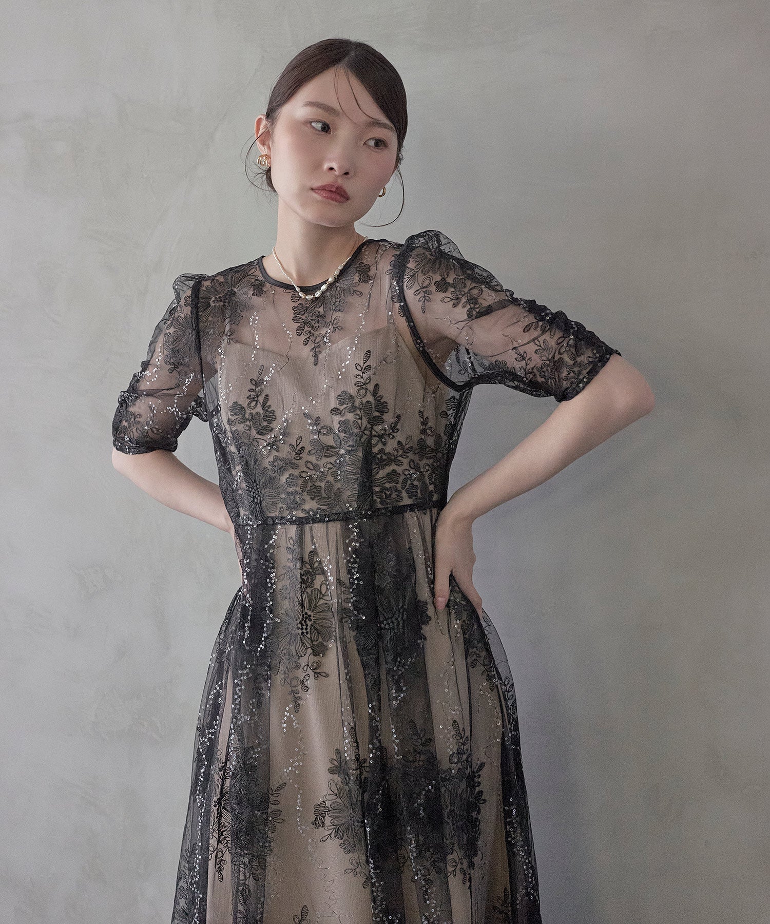 花柄刺繍スパンコールシアーギャザースリーブAラインドレス
